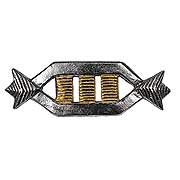 Star Trek Captain Rank Pin